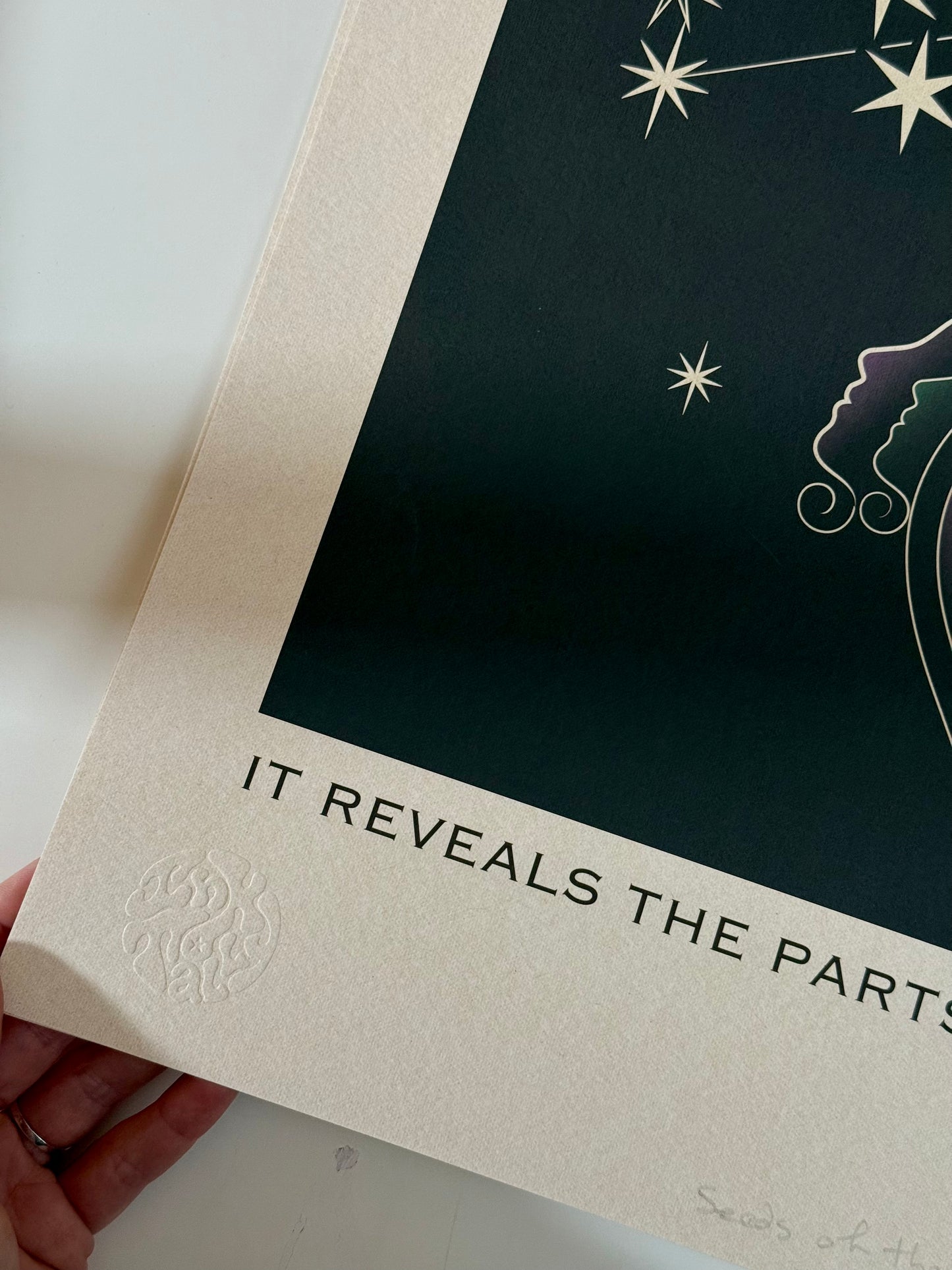 My Ego is Not My Enemy - Limited edition (20 per size)